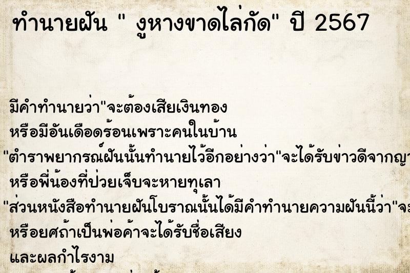 ทำนายฝันงูหางขาดไล่กัด ทำนายฝันทำนายฝันงูหางขาดไล่กัด